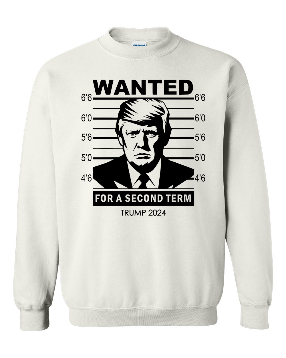 Trump 2024 Wanted Trump For A Second Term T-shirts, sweatshirts, hoodies