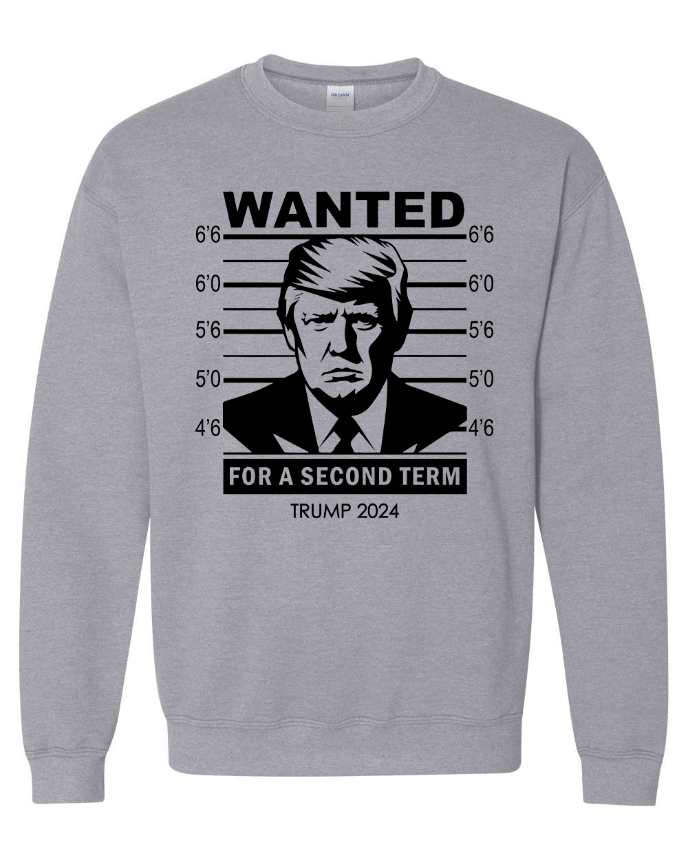 Trump 2024 Wanted Trump For A Second Term T-shirts, sweatshirts, hoodies